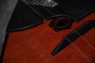 A close-up view of a stringed musical instrument with a rich wooden surface and dark triangular accents. The strings create subtle shadows against the polished wood.
