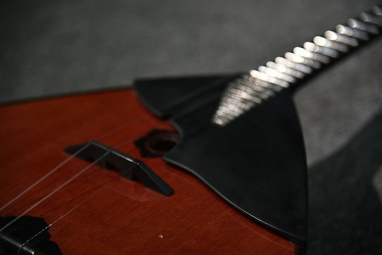 A close-up view of a stringed musical instrument, focusing on its body and strings. The instrument appears to have a wooden finish with a triangular shape and metallic strings.