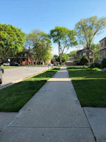 A clean Sacramento residential street with freshly power-washed sidewalks and vibrant green lawns under a clear blue sky.