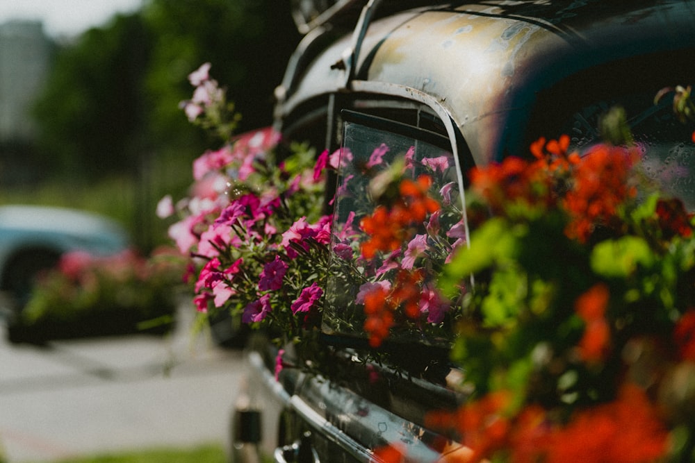 a car with a bunch of flowers in the back of it