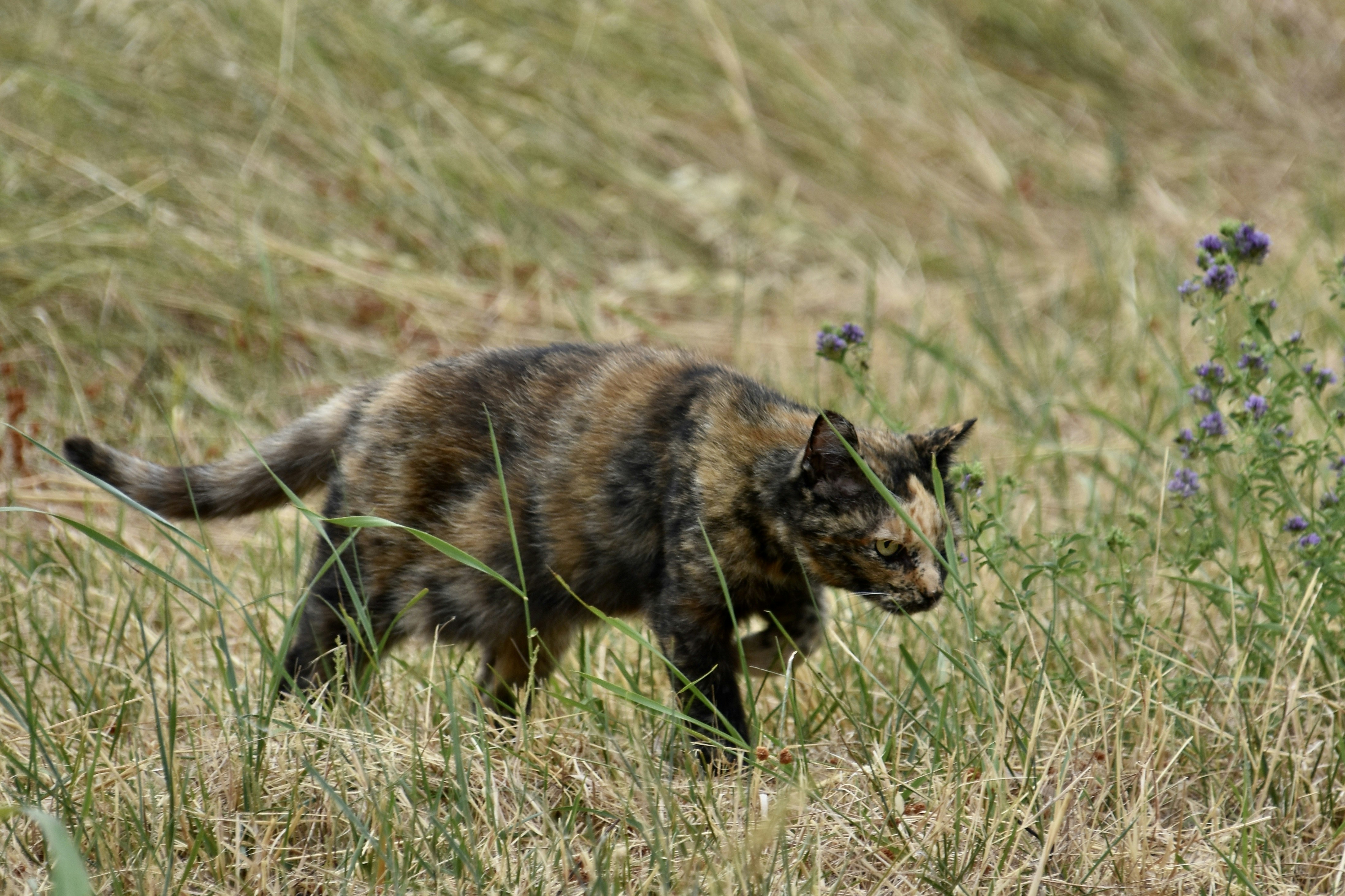 Photo by mariobeducci