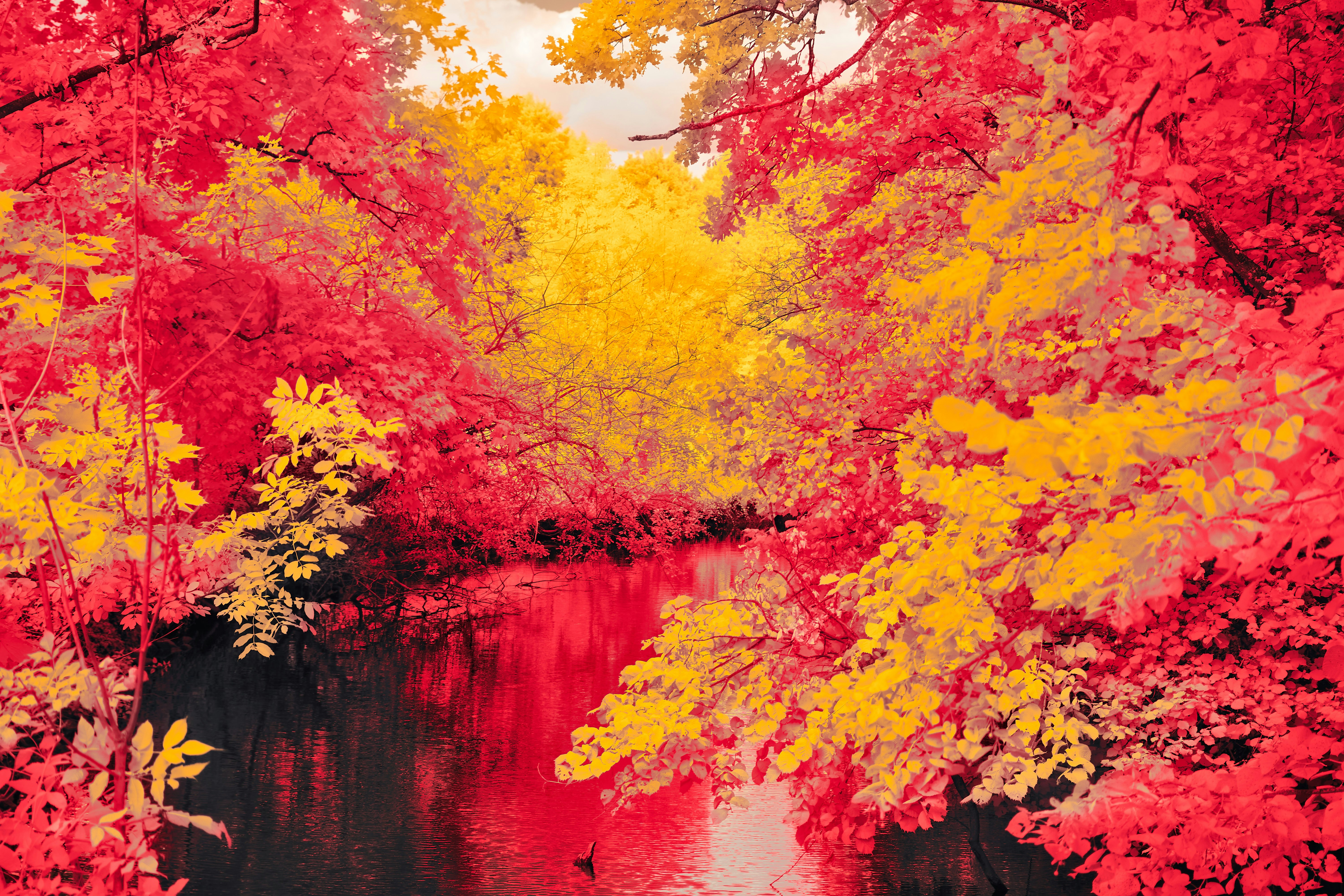 Photo by wolfgang_hasselmann