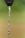 Close-up of a glass of clear water being poured from a kitchen faucet.