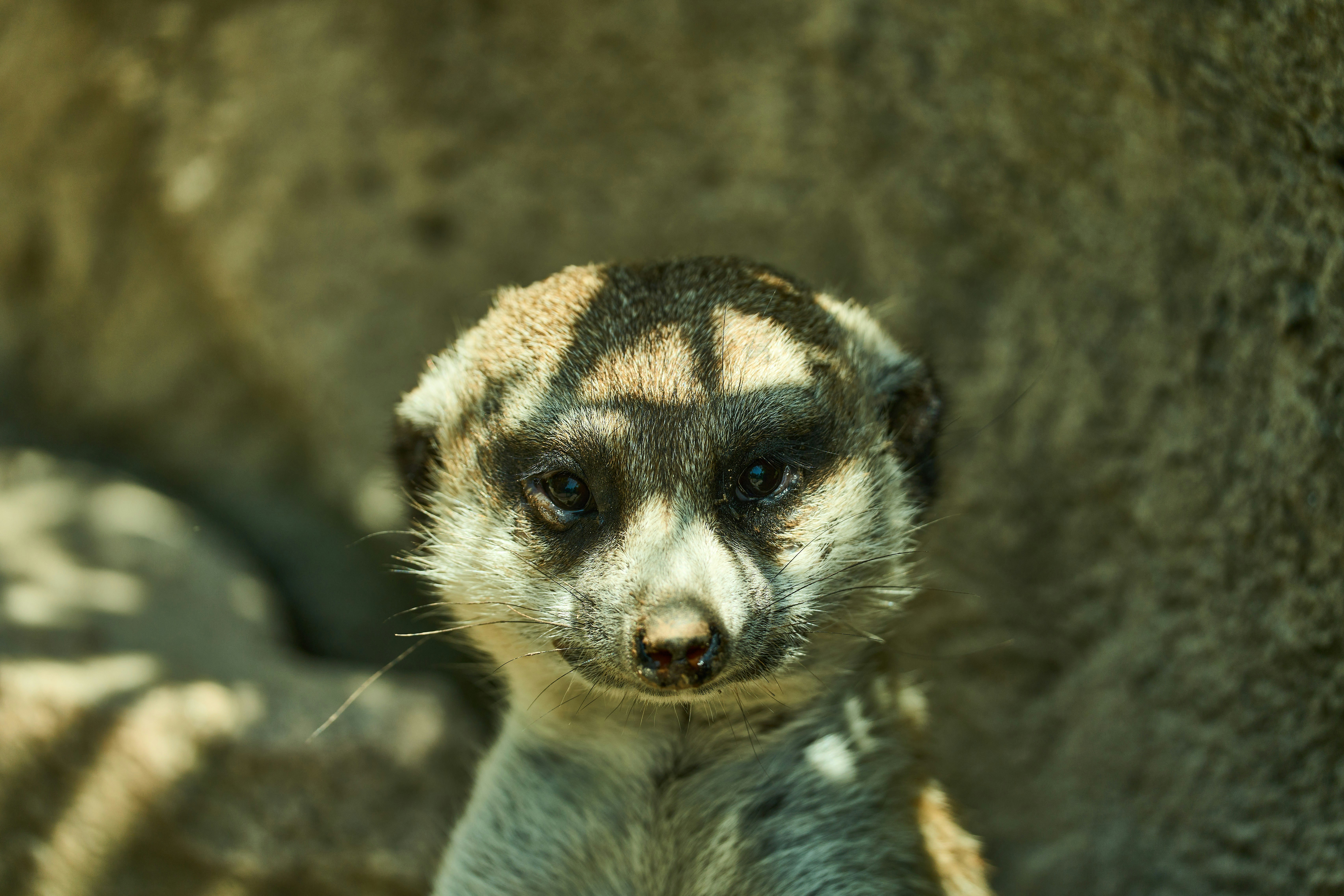 Photo by wolfgang_hasselmann