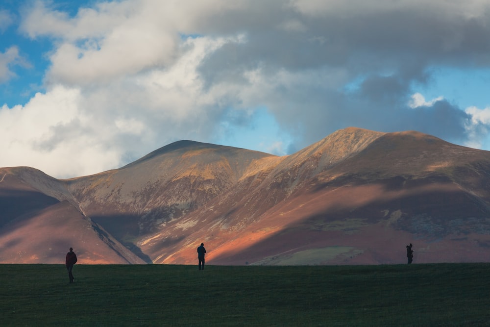 a group of people standing on top of a lush green field