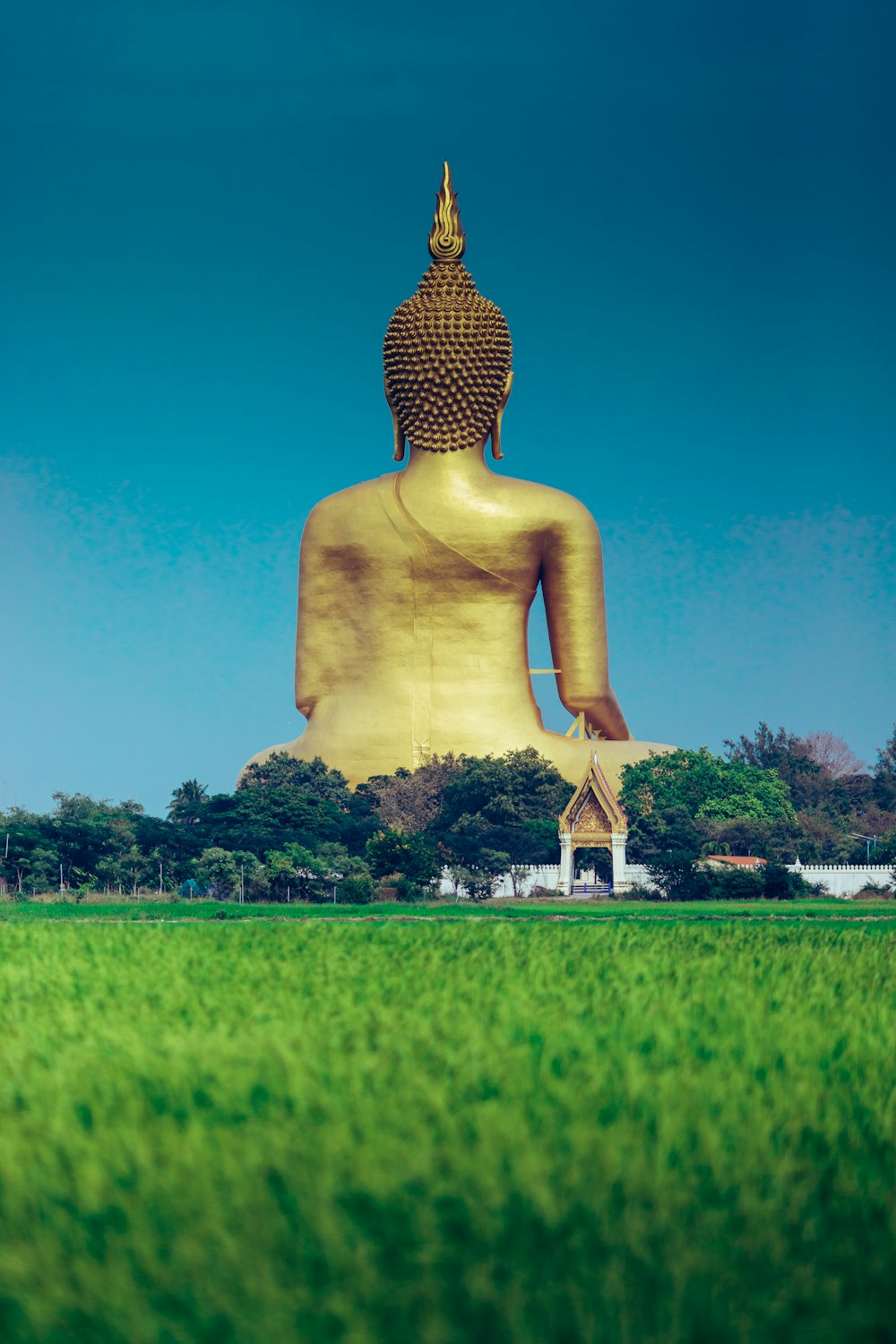 a large golden buddha statue sitting in the middle of a lush green field