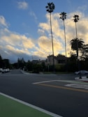 Sunset view over a quiet residential neighborhood with palm trees.