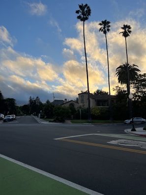 Sunset view over a quiet residential neighborhood with palm trees.