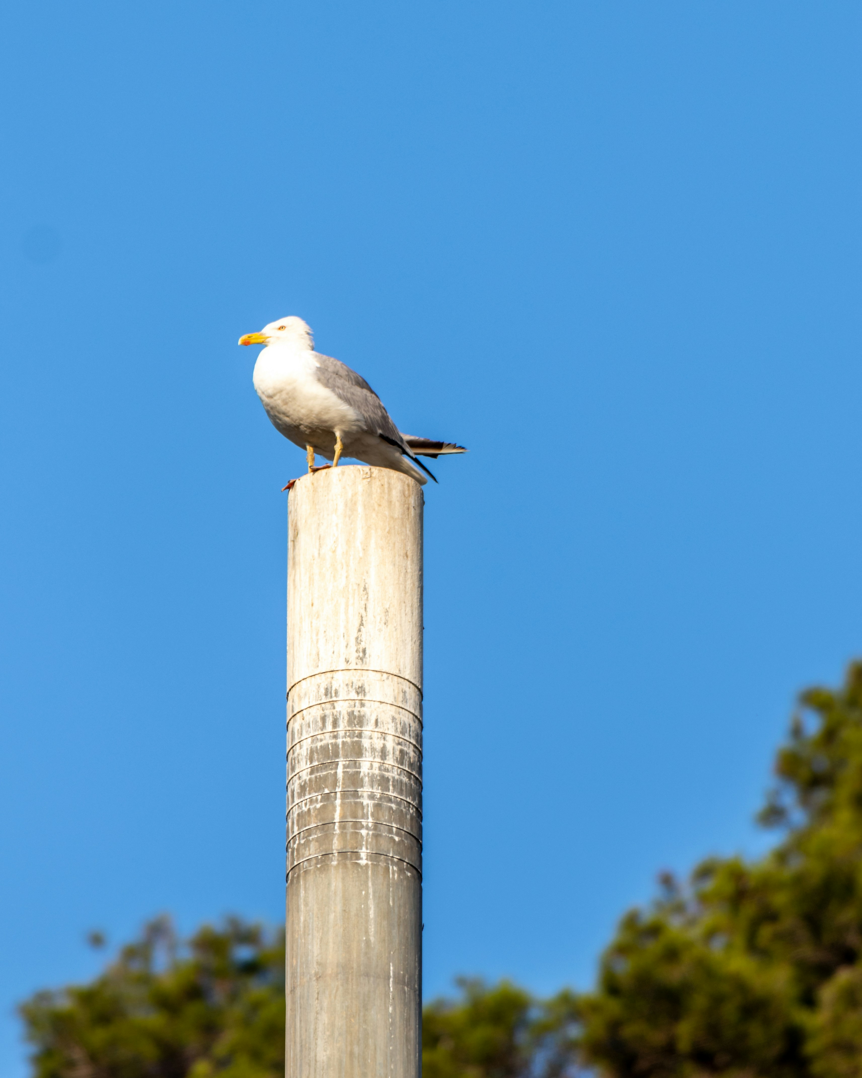 Photo by matthieur68