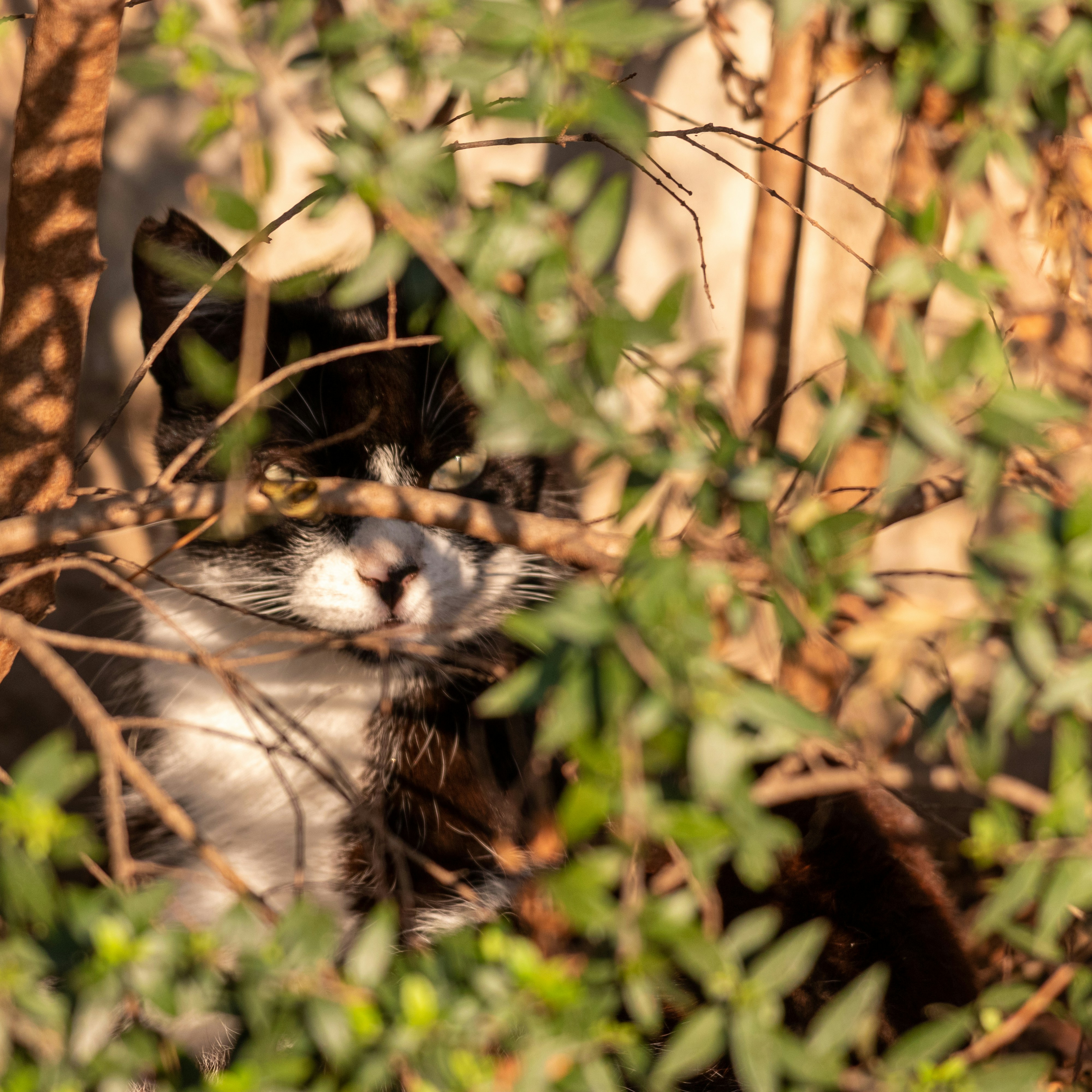 Photo by matthieur68