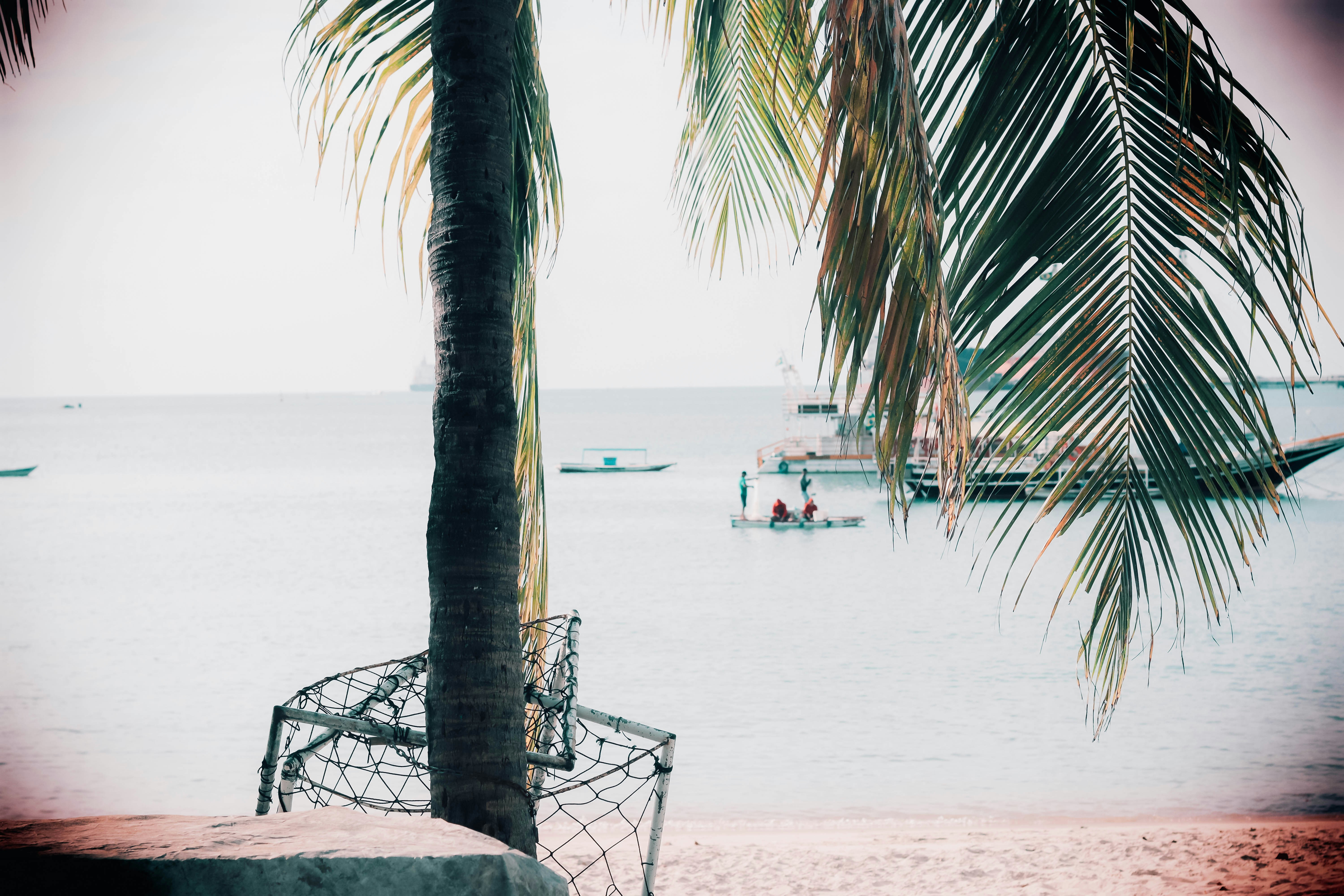 Photo by rafasdoliveira