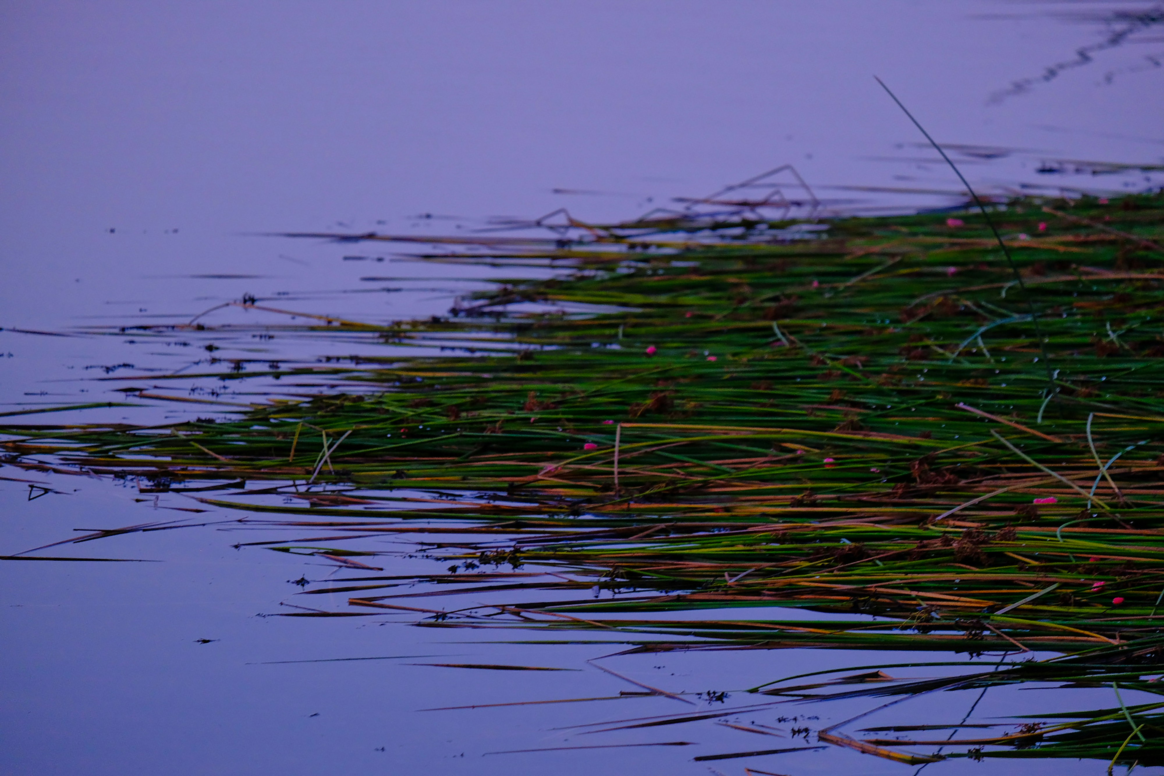 Photo by cestmoisheedy