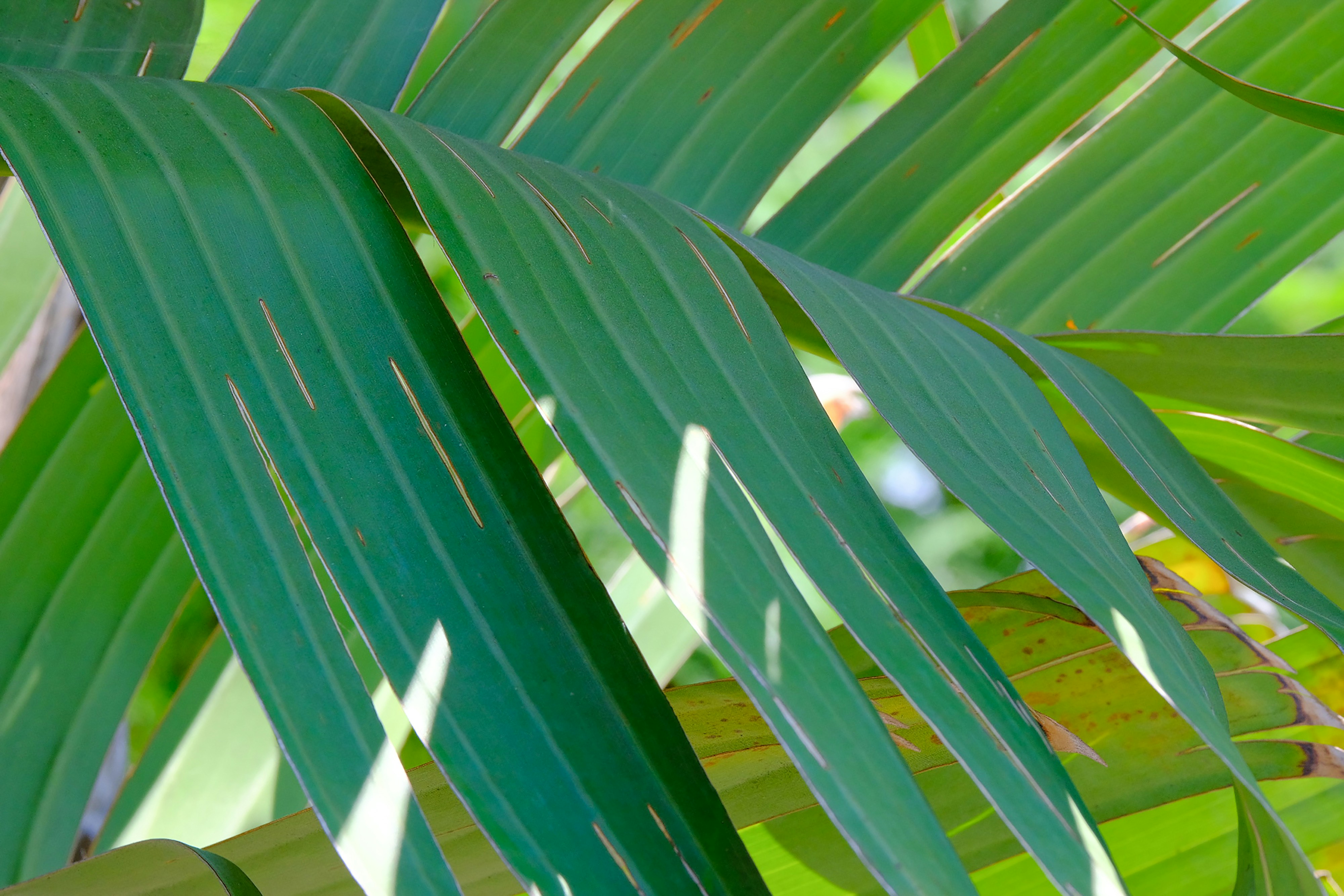 Photo by cestmoisheedy