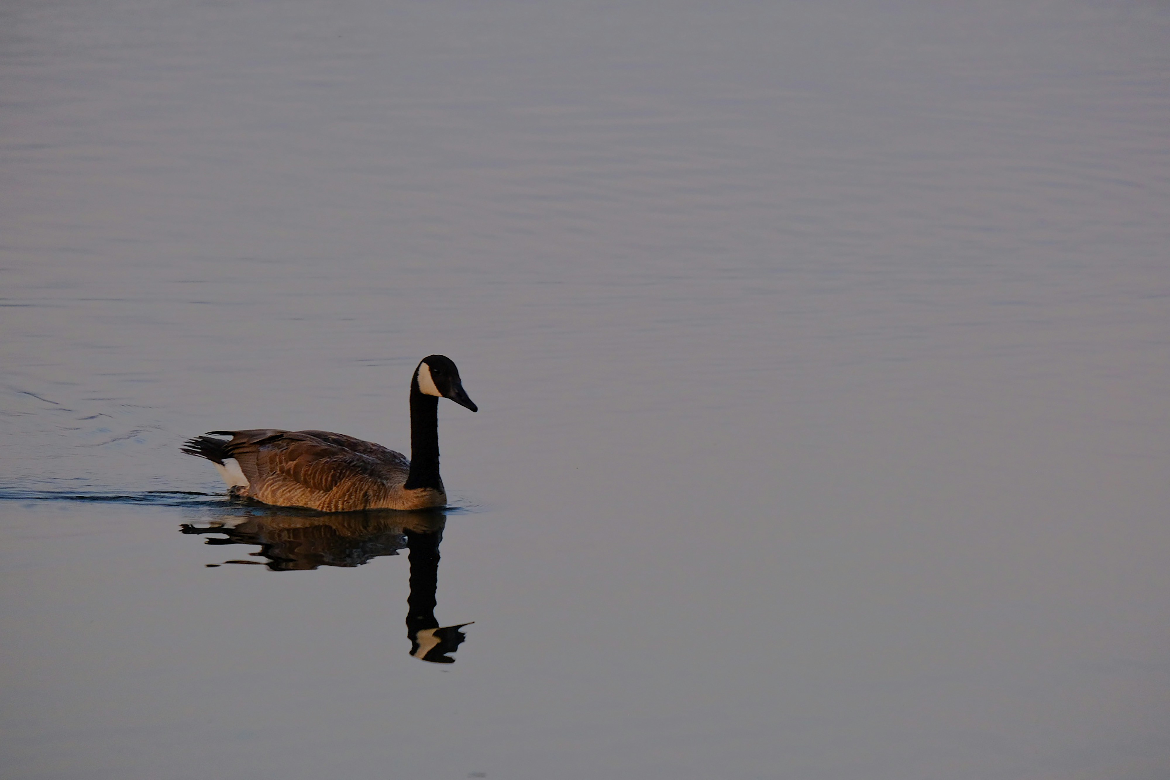 Photo by cestmoisheedy