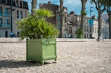 A green planter filled with lush, spiky leaves stands on a cobblestone promenade. In the background, a row of older buildings with multi-story facades and a well-dressed man seated on a bench offer an urban European atmosphere.