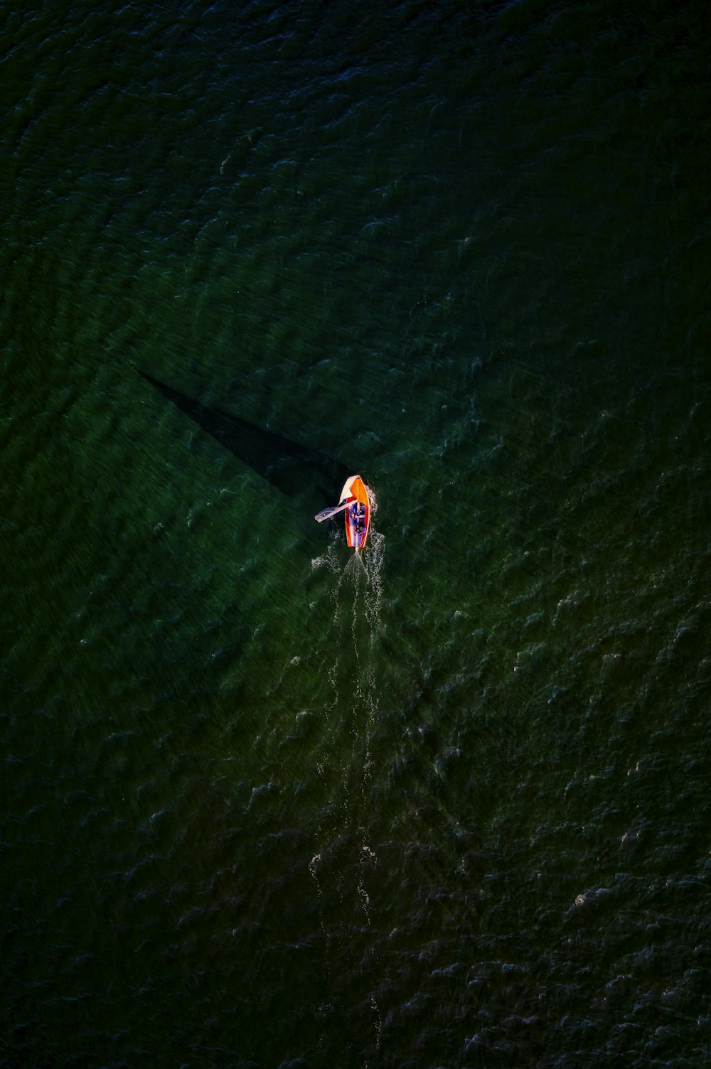 a person in a boat on a body of water