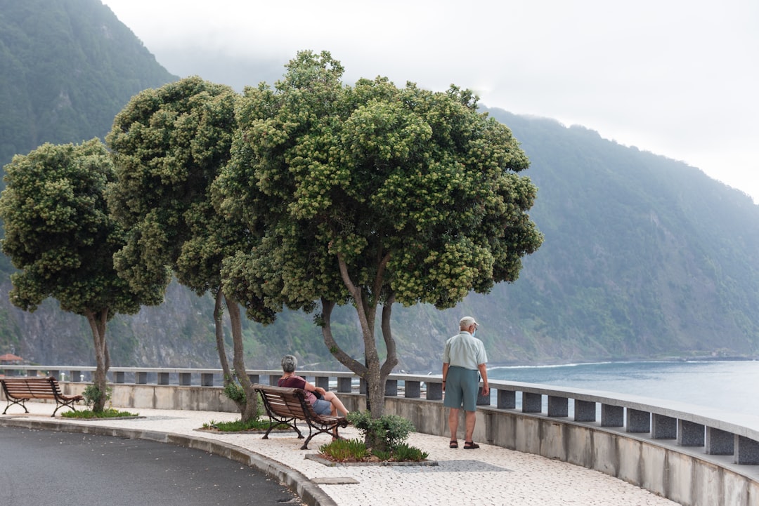 a couple of people sitting on top of a wooden bench, Senior tourists delighting in the offerings of Madeira.