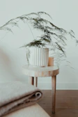 A peaceful bathroom scene featuring Tupelo Cove soaps next to a green plant and a lit candle.