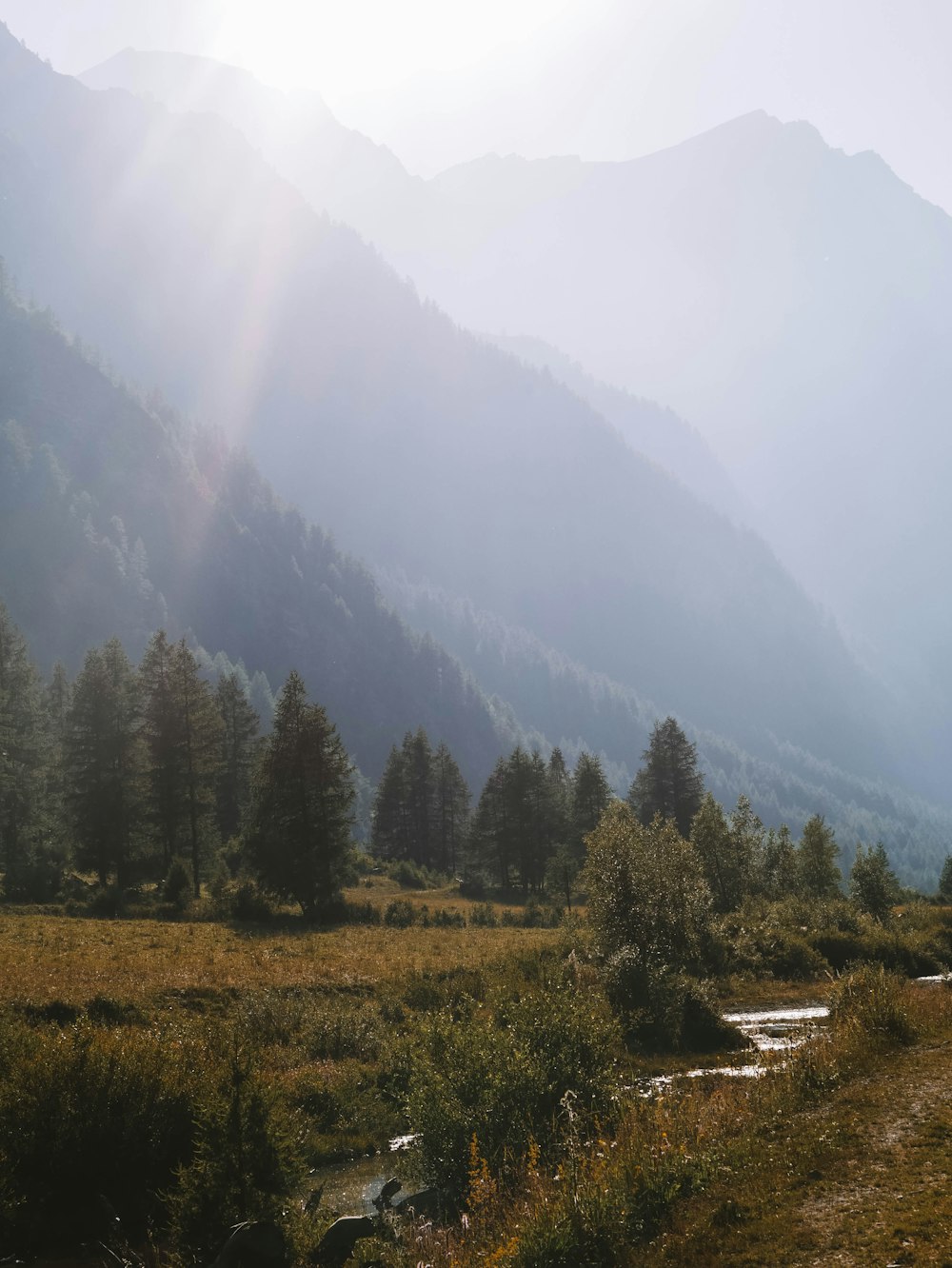 a grassy field with a stream running through it