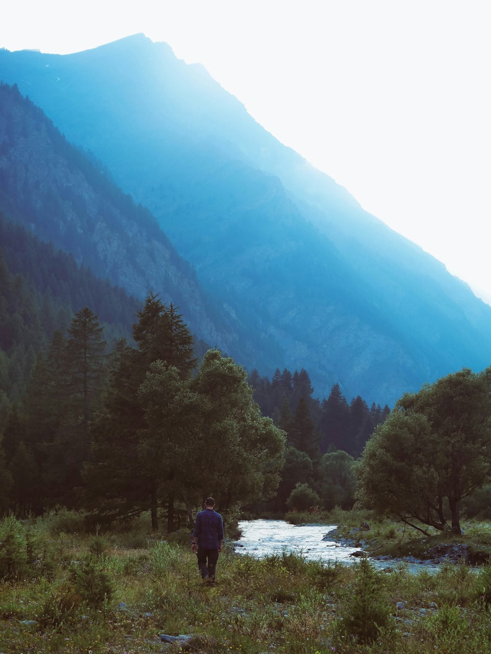 a man walking through a forest with a mountain in the background