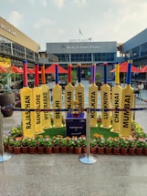 A row of large, yellow cricket bats is displayed outdoors, each with the name of an Indian city printed on it. The setting is a shopping plaza with storefronts like Buffalo Wild Wings and Barley & Grapes Brewery visible in the background. Red umbrellas and small potted plants decorate the area. The space is cordoned off with blue barriers, and a small table or box in the center mentions a live screening at Aero Plaza.