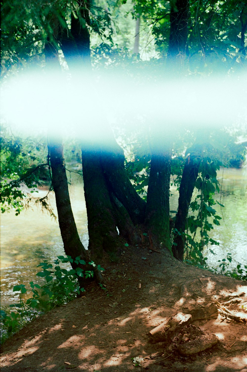 a man riding a bike down a dirt road next to a river