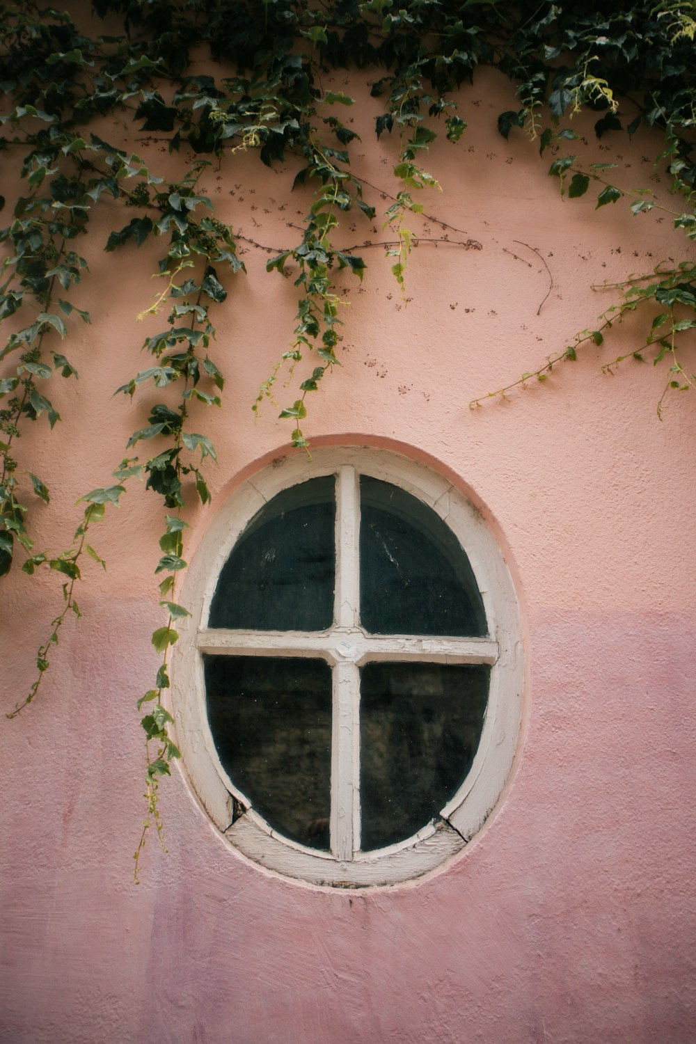 a window on a pink wall with ivy growing on it