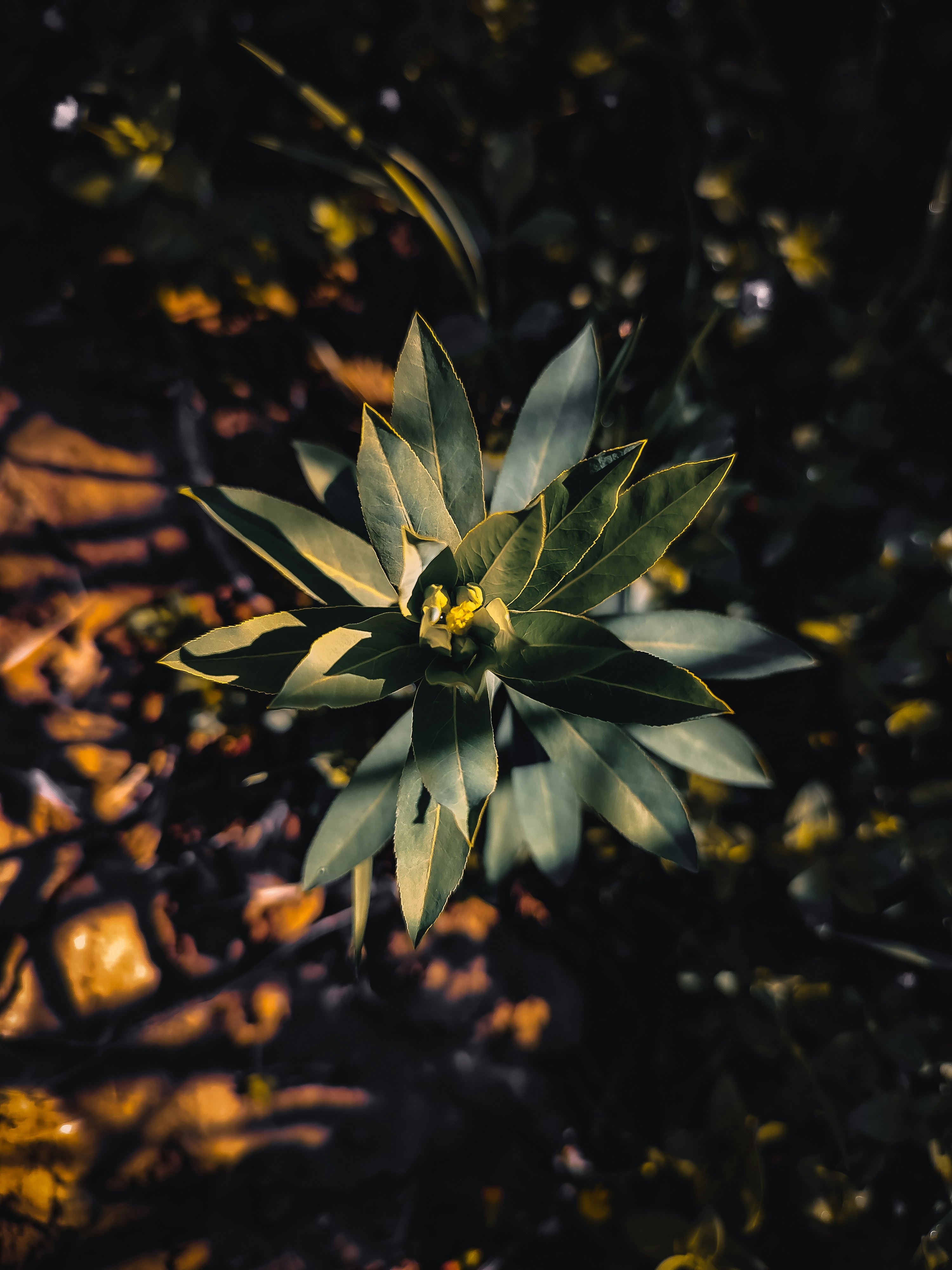 Photo by h_of_p