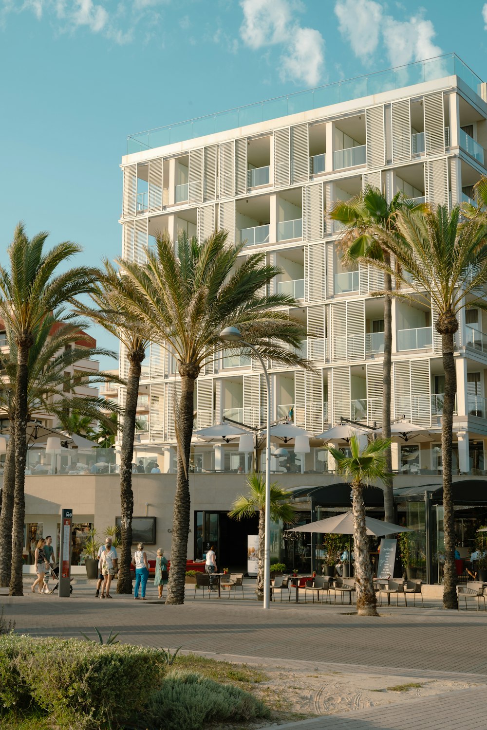 palm trees line the street in front of a hotel