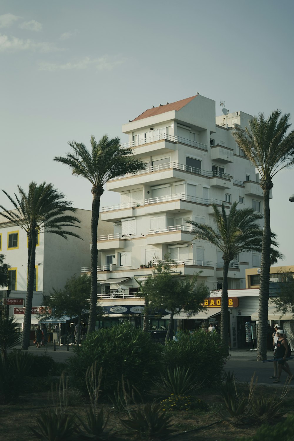 a tall white building with palm trees in front of it