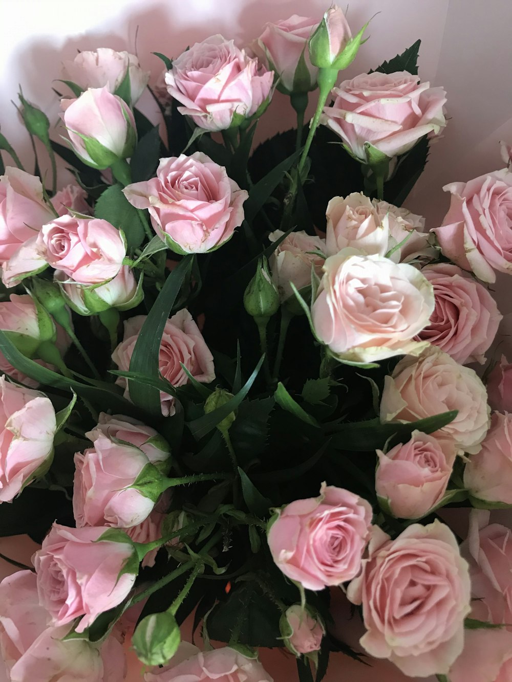 a bouquet of pink roses in a vase