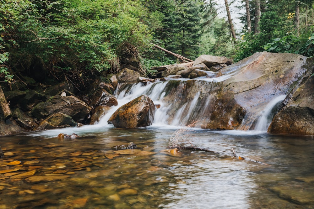 a small waterfall in the middle of a forest