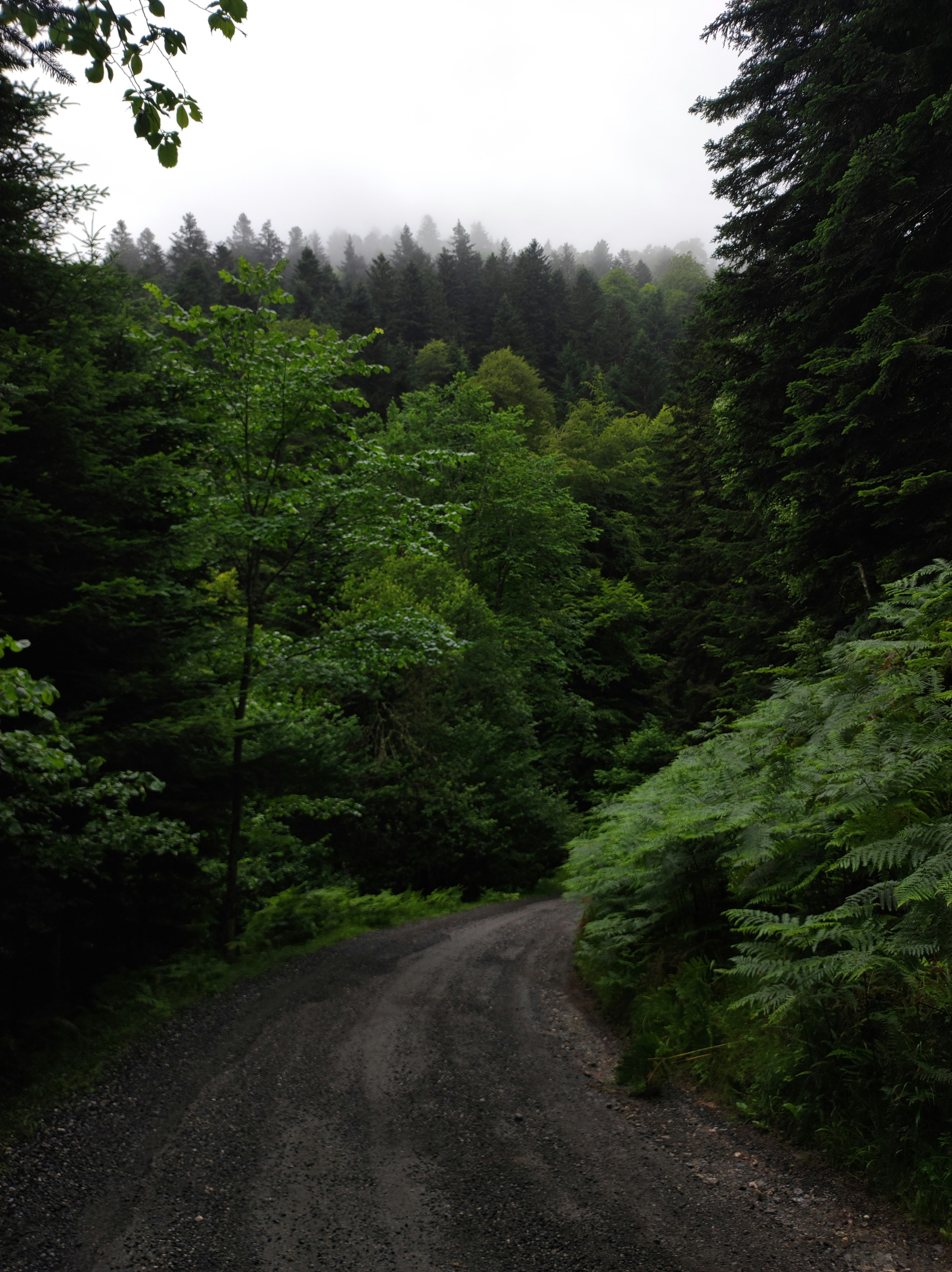 Photo by nicolas_barbault