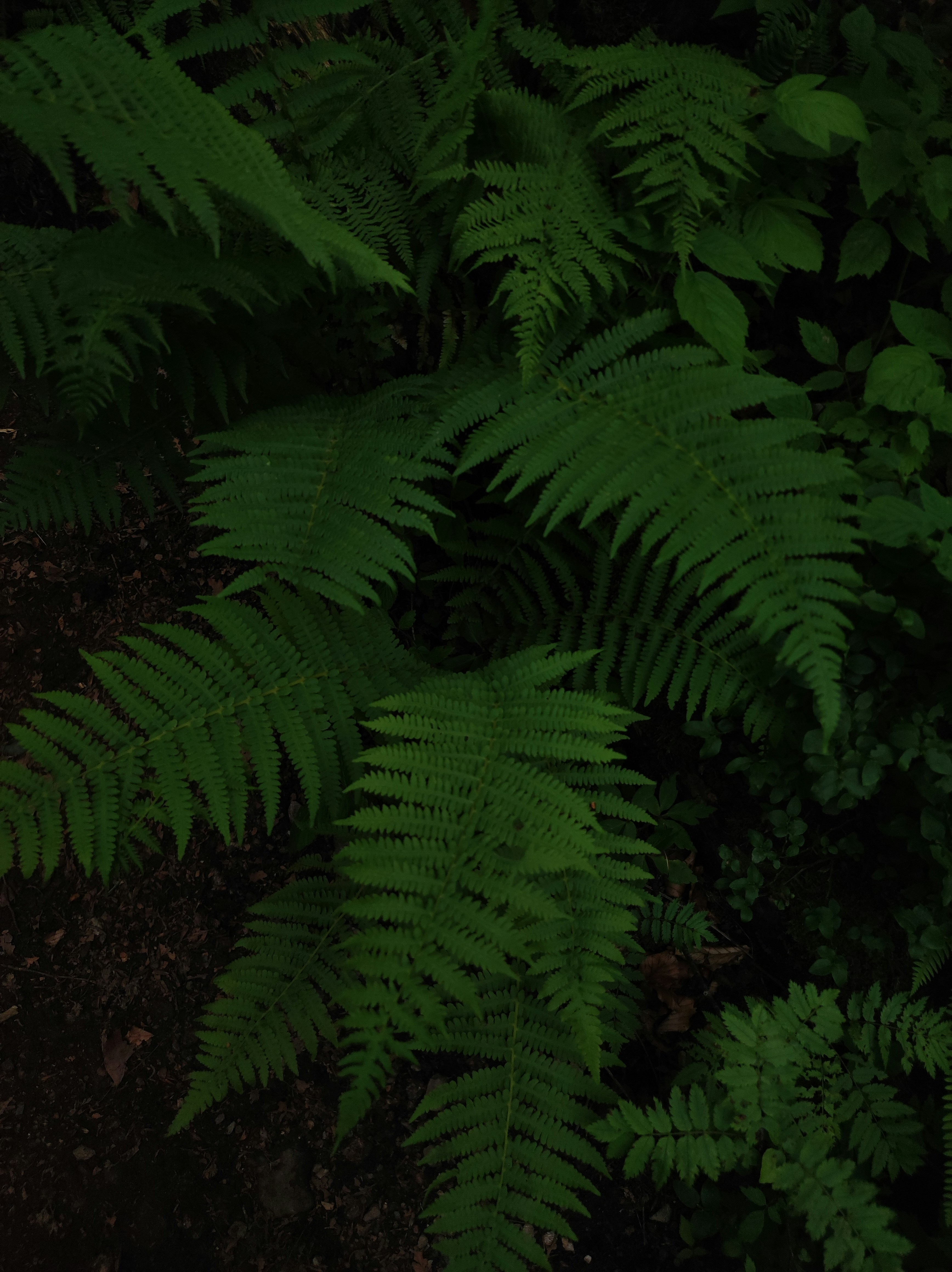 Photo by nicolas_barbault