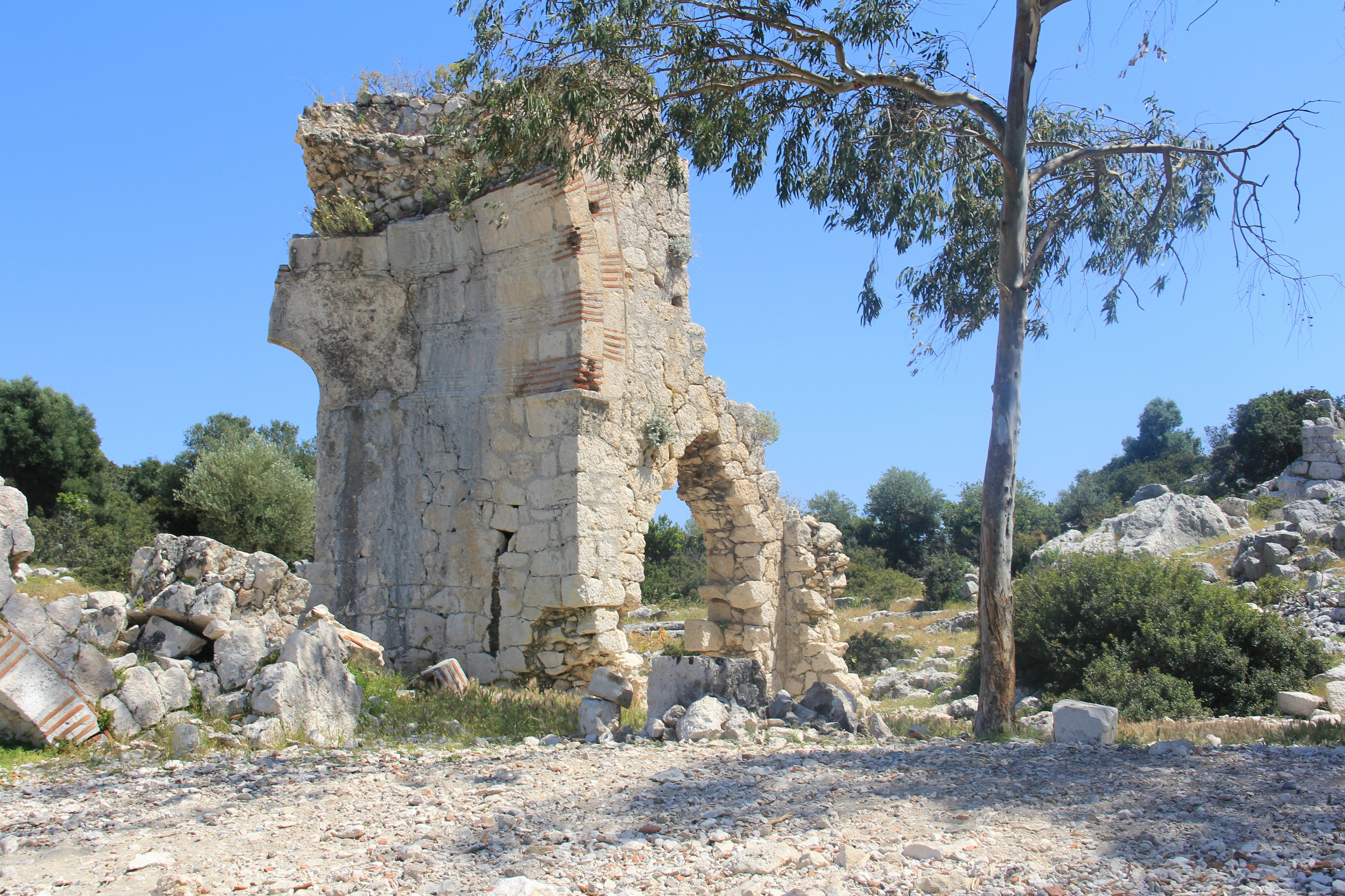 Photo by ahmetruzgar