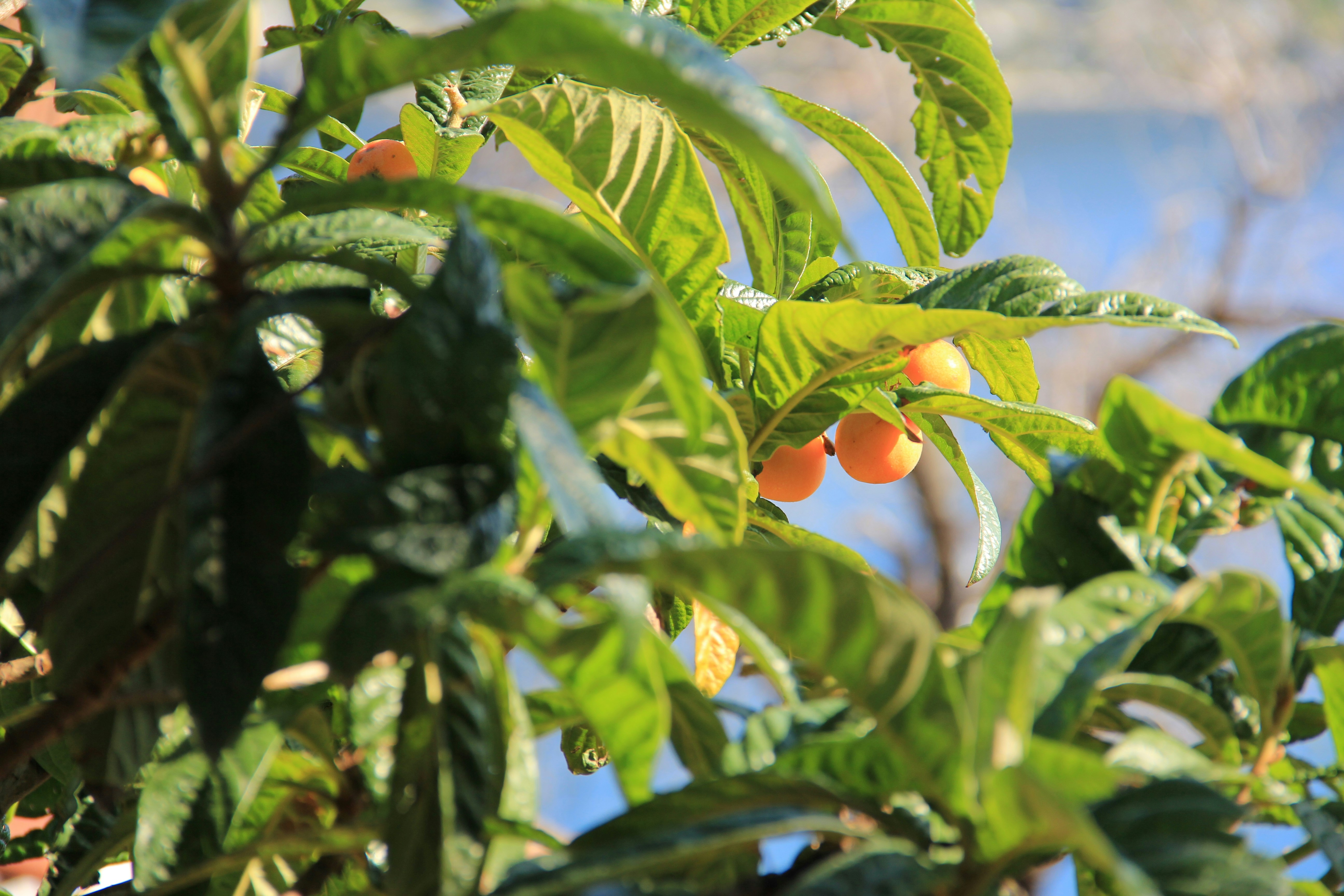 Photo by ahmetruzgar