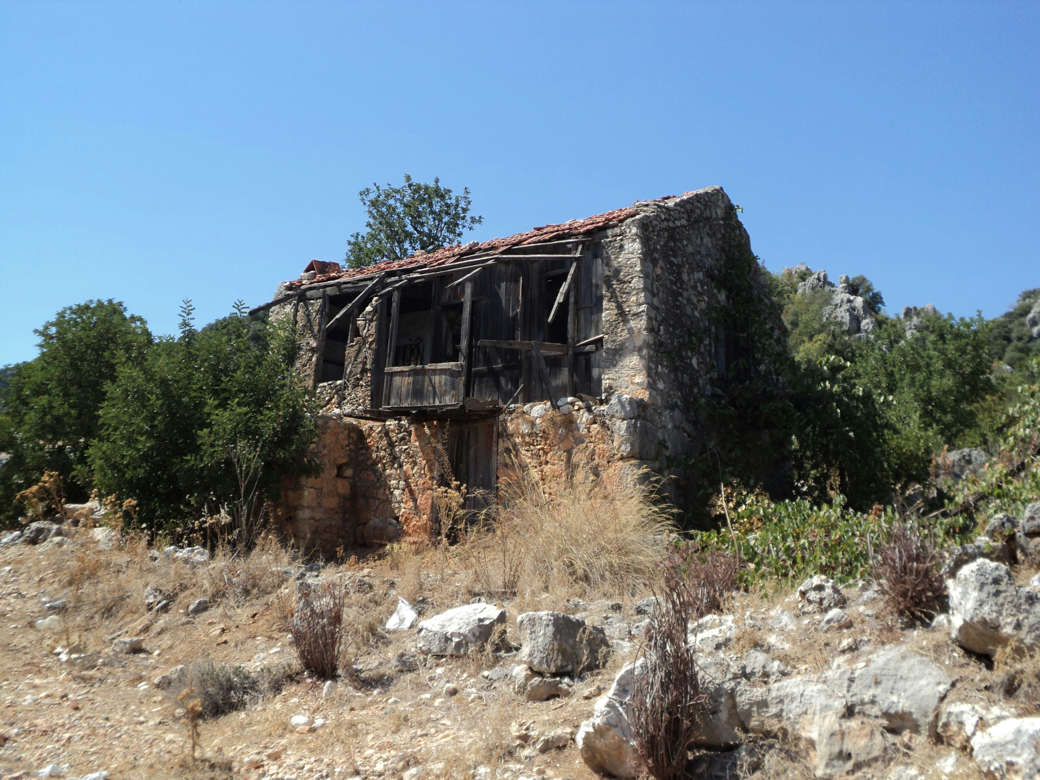Photo by ahmetruzgar