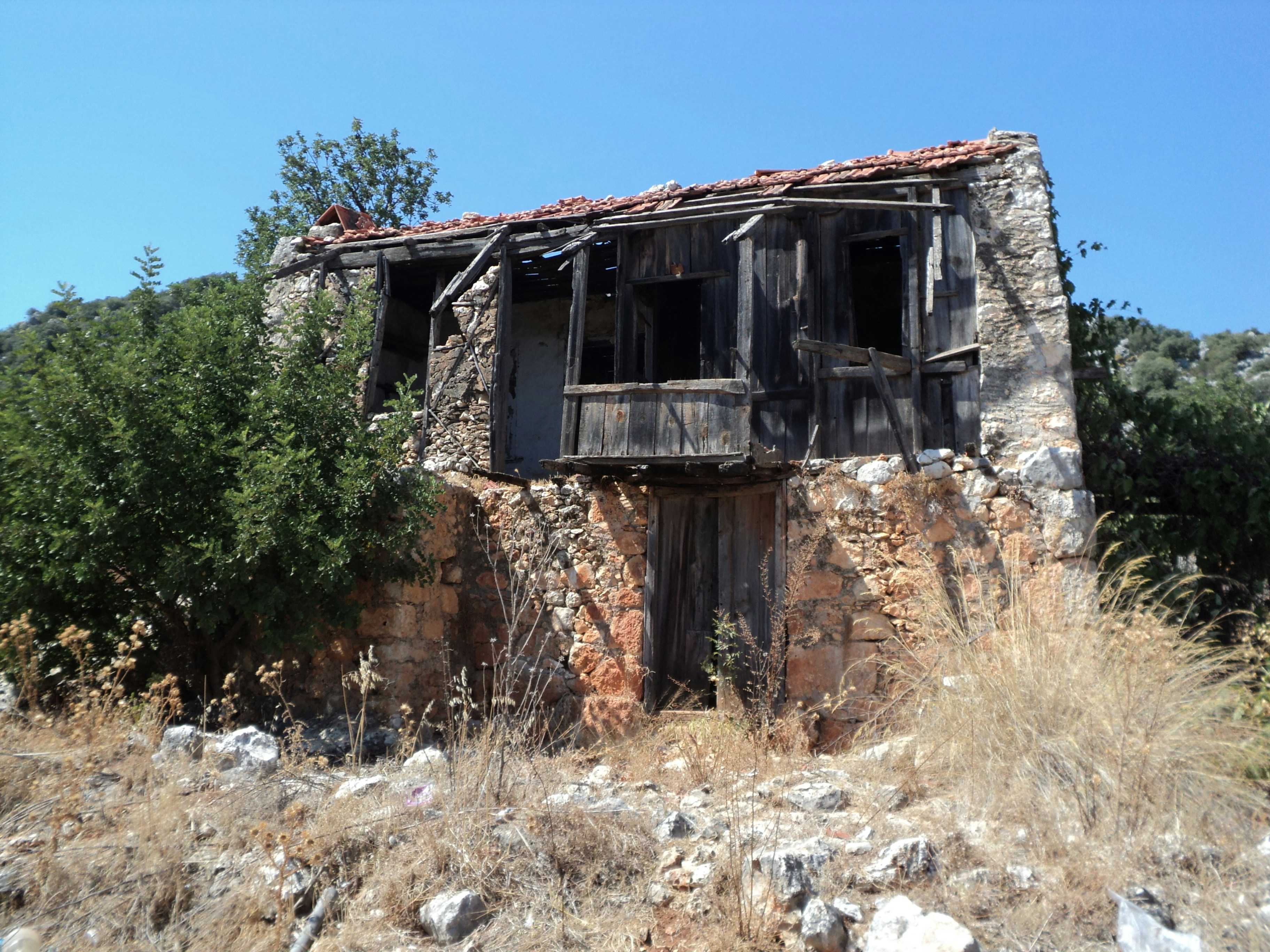 Photo by ahmetruzgar