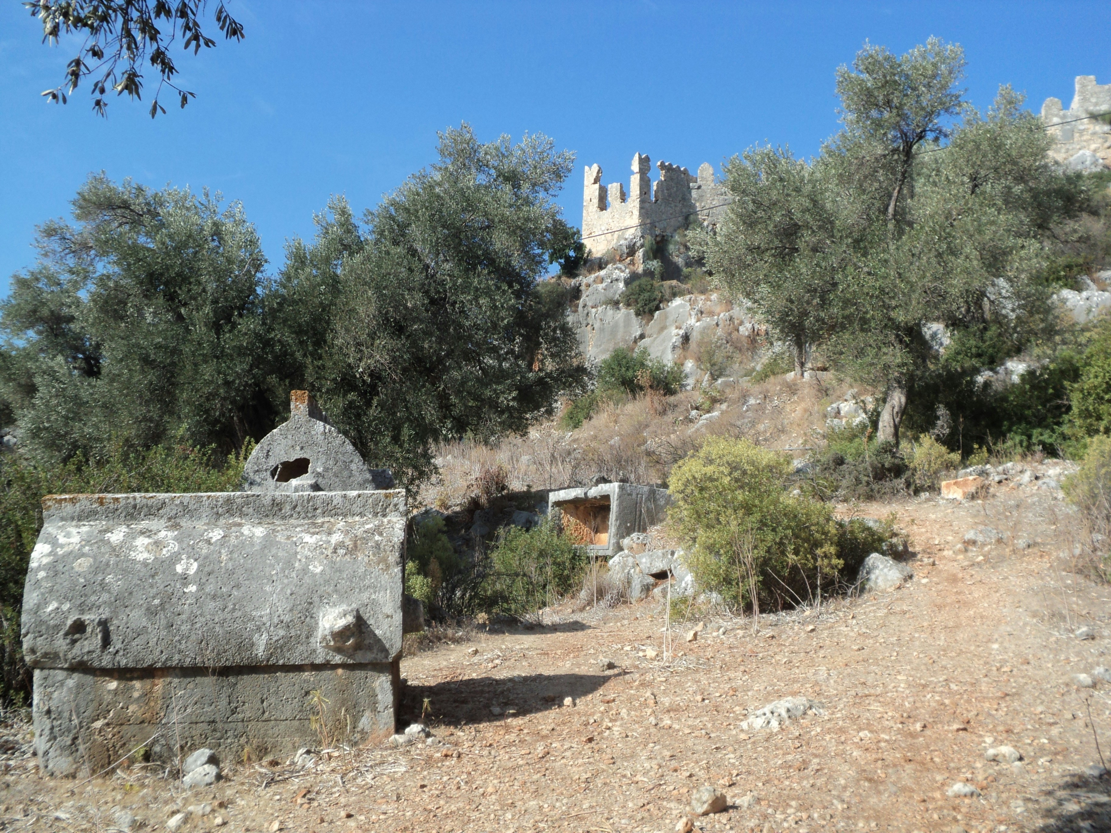 Photo by ahmetruzgar