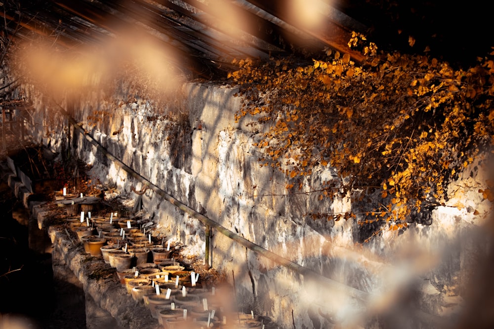 a wall with a bunch of pots on top of it