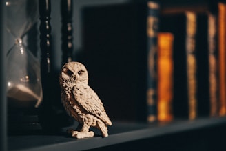 A detailed owl sculpture is perched on a shelf next to an hourglass, with a row of antique books in the background. The lighting casts a warm, soft glow over the scene, emphasizing the intricate details of the owl's feathers.