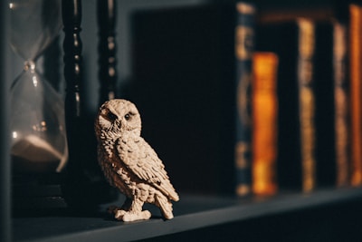 A detailed owl sculpture is perched on a shelf next to an hourglass, with a row of antique books in the background. The lighting casts a warm, soft glow over the scene, emphasizing the intricate details of the owl's feathers.