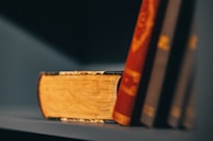 A close-up of a vintage vampire-themed book collection.