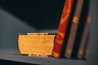A close-up of a stack of vintage books with one book lying horizontally between two upright books. The books have worn, textured covers, and the pages are yellowed, indicating their age.