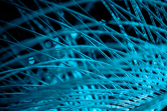 Abstract network of evolving strands representing shifting data patterns in black, white, and electric blue.