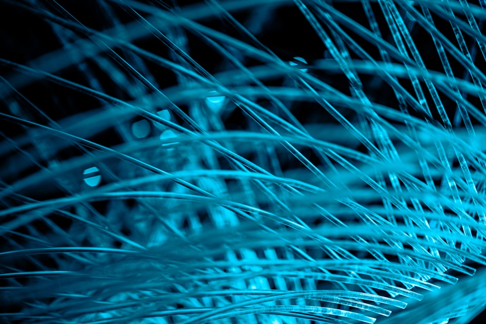 a close up of a blue feather on a black background