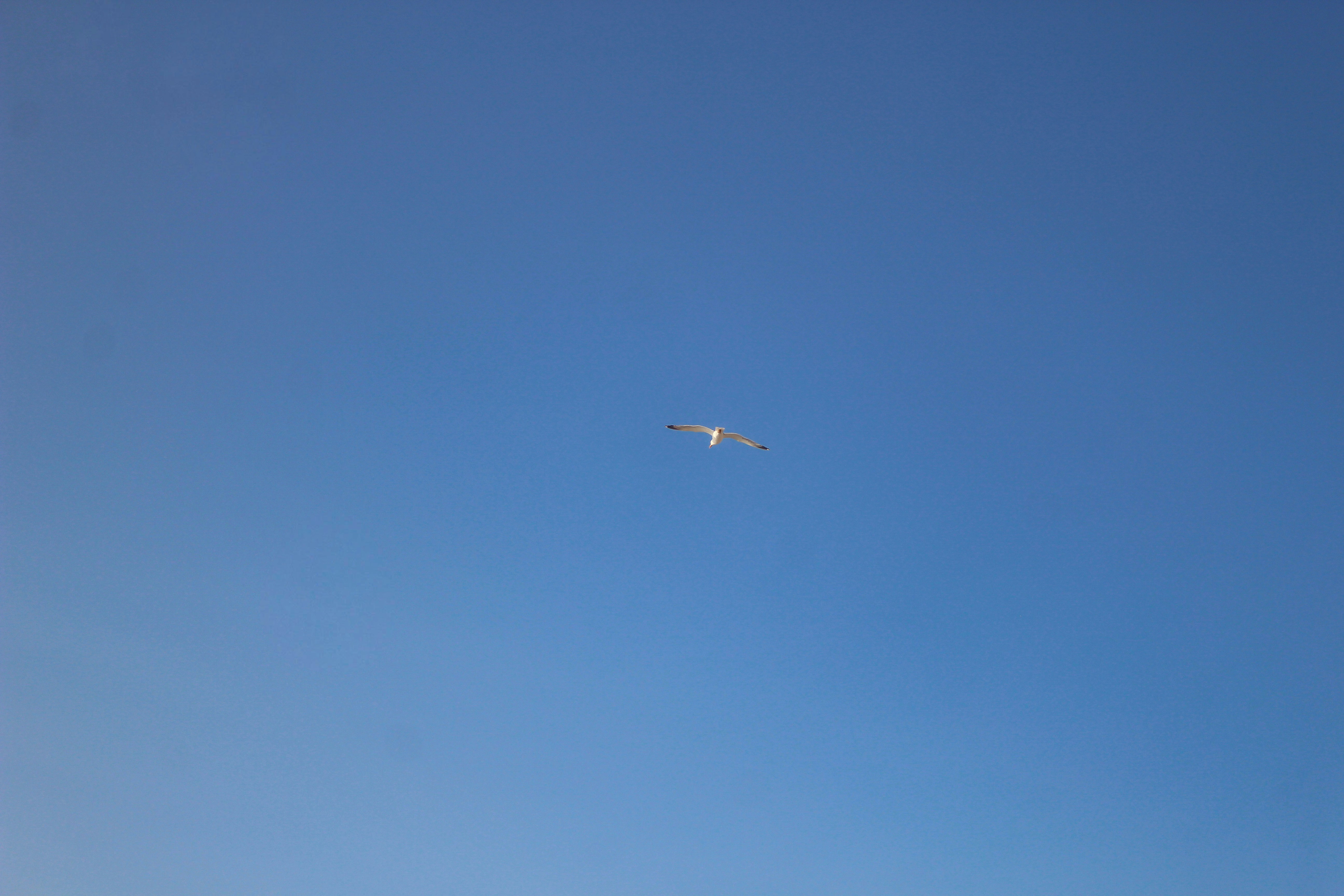 Photo by mariaennnunes