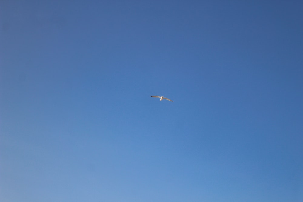 ein Flugzeug, das in einem blauen Himmel mit ein paar Wolken fliegt