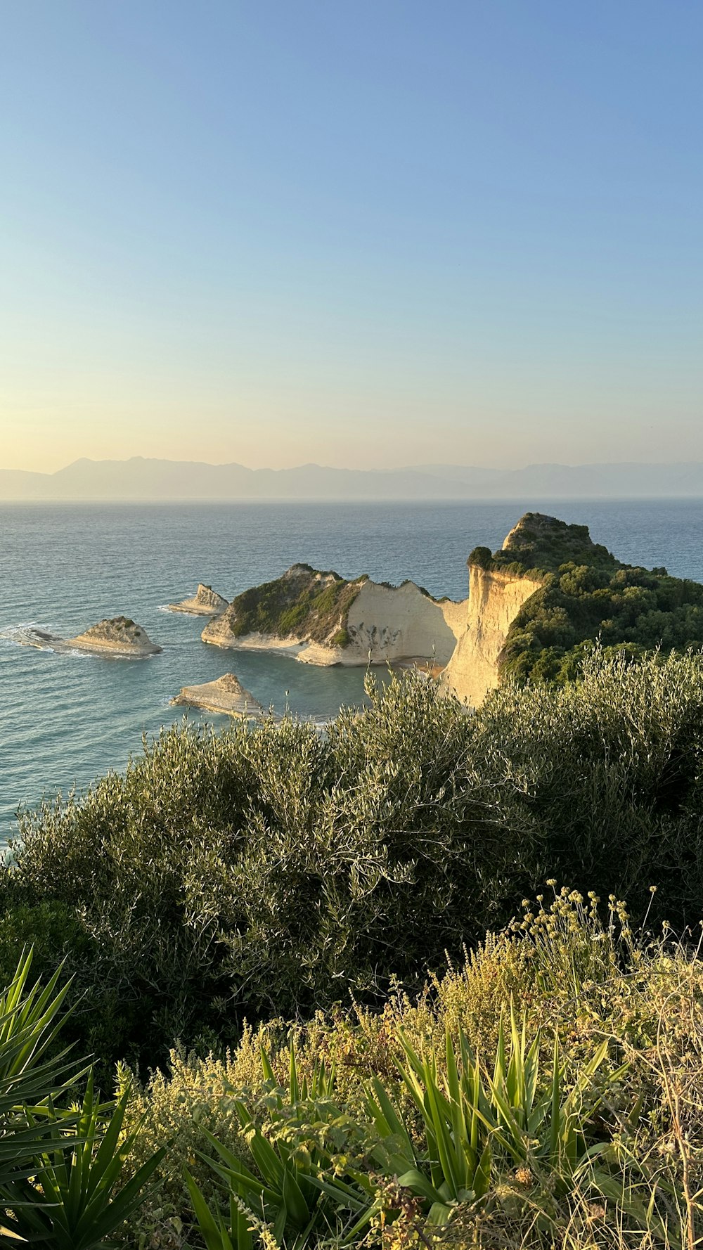 a view of the ocean from a hill