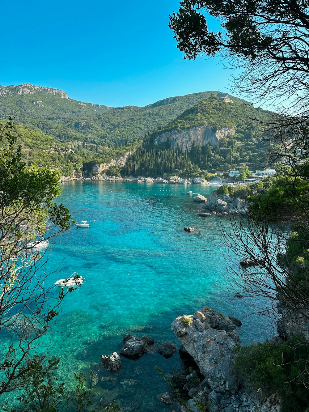 a body of water surrounded by mountains and trees